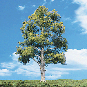 Woodland Scenics 3533 All Scale Woodland Classic Trees(R) Ready Made - Waters Edge -- 2 to 3" 5.1 to 7.6cm Tall pkg(4)