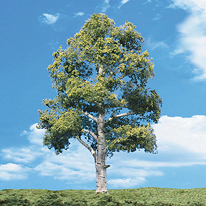 Woodland Scenics 3537 All Scale Woodland Classic Trees(R) Ready Made - Waters Edge -- 6 to 7" 15.2 to 17.7cm Tall pkg(2)