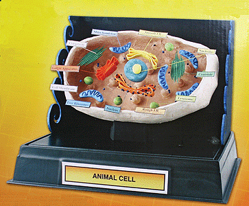 Woodland Scenics 4283 All Scale Project Pack -- Cell Structure Project