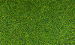 Woodland Scenics 49 All Scale Blended Turf - 54 Cubic Inches 885 Cubic Centimeters -- Green