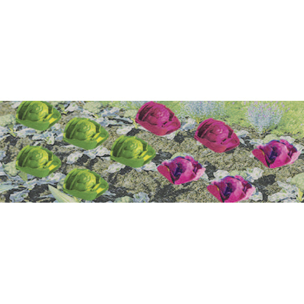 JTT Scenery 95528 O Cabbages & Lettuces 1/2'