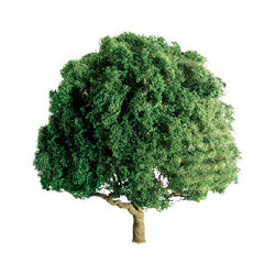 JTT Scenery 94261 Oak 1.5' Pro 4Pk