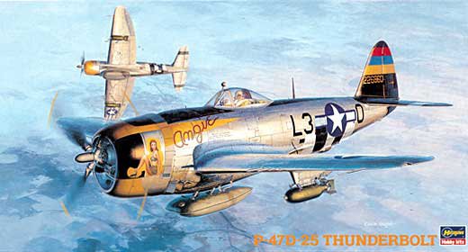 Hasegawa 9140 1/48 P47D25 Thunderbolt Aircraft