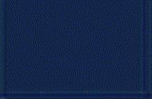 Badger 1667 Modelflex Railroad Color B&O Royal Blue 1oz. Bottle