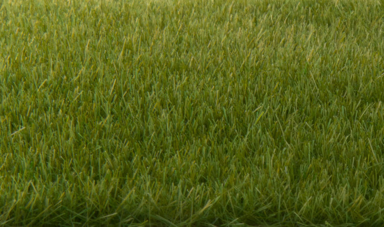 Woodland Scenics 617 Static Grass - Field System -- Dark Green 1/8 4mm  Fibers A Scale - Yankee Dabbler