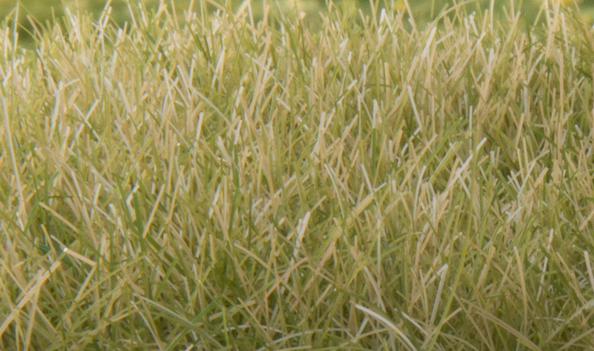 Woodland Scenics 627 All Scale Static Grass - Field System -- Light Green 1/2" 12mm Fibers