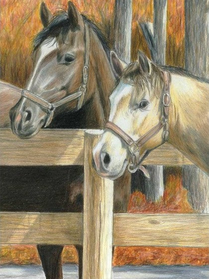 Royal & Langnickel 94356 Buck's Pal (Horses) Pencil by Number Age 8+ (8.75"x11.75")