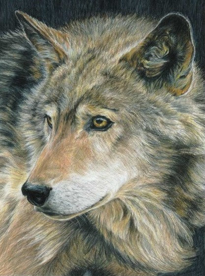 Royal & Langnickel 94358 Curious Eyes (Wolf) Pencil by Number Age 8+ (8.75"x11.75")