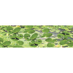 JTT Scenery 95538 O Lily Pads 1-1/2'