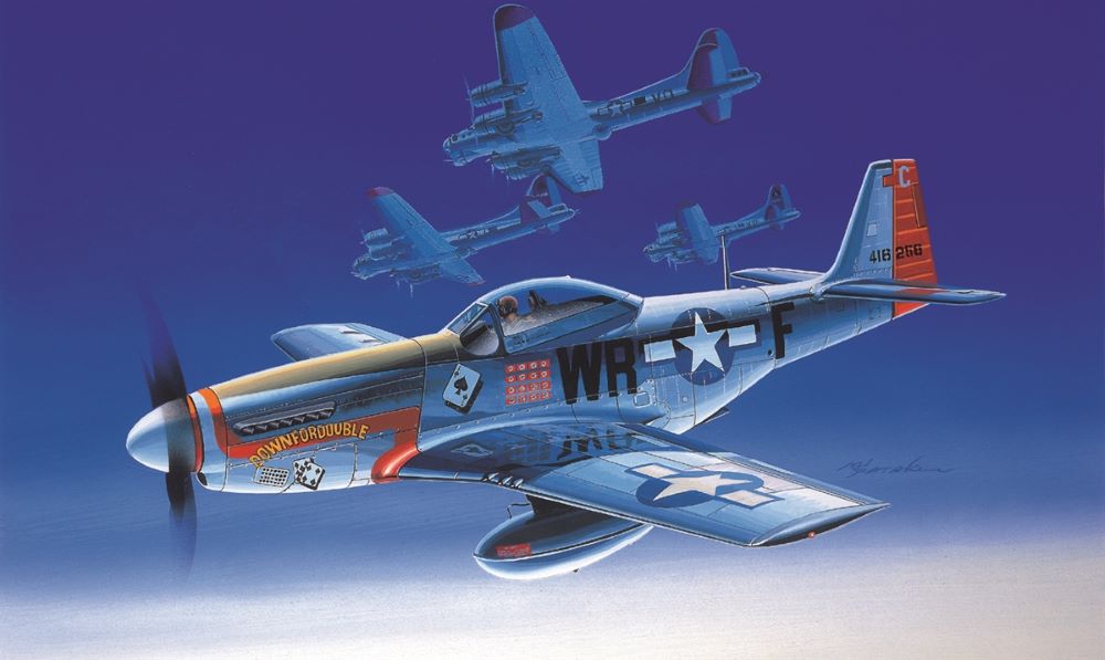 Academy 12485 1/72 P51D Mustang US Army Fighter