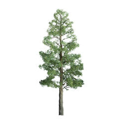 JTT Scenery 96027 Pine 8' Pro 1Pk