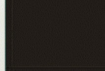 Badger 1665 Modelflex Railroad Color Great Northern Green 1oz. Bottle