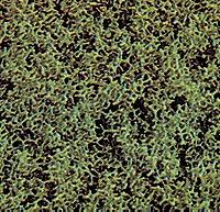 Busch 7312 All Scale Foam Scatter Material-Fine -- Medium Green