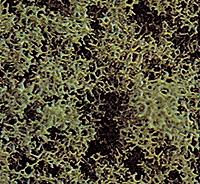 Busch 7318 All Scale Foam Scatter Material - Coarse -- Medium Green