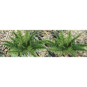 JTT Scenery 95534 O Ferns 1'