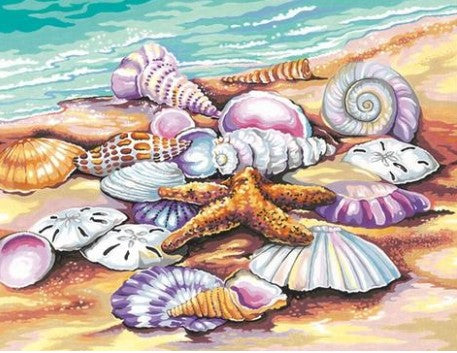 Dimensions Puzzles 91526 Shells (Seashore) Paint by Number (11"x14")