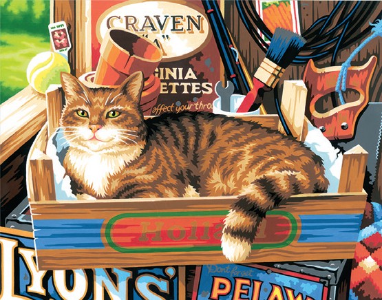 Dimensions Puzzles 91655 Cat Signs Paint by Number (Cat Laying in Toolbox) (11"x14")