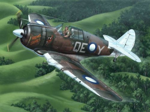 Special Hobby 48117 1/48 CAC13 Boomerang Aircraft