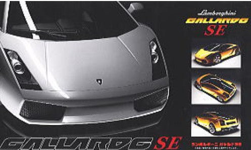 Fujimi 12263 1/24 Lamborghini Gallardo Special Edition Sports Car