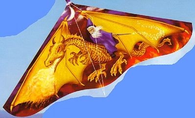 Gayla Industries 110 42"x22" Dragon Wizard Delta Wing Kite