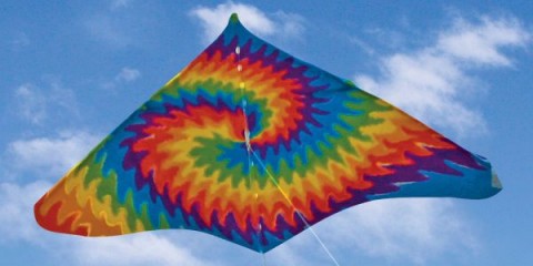 Gayla Industries 151 42"x22" Sky Dye Trendsetter Delta Wing Kite