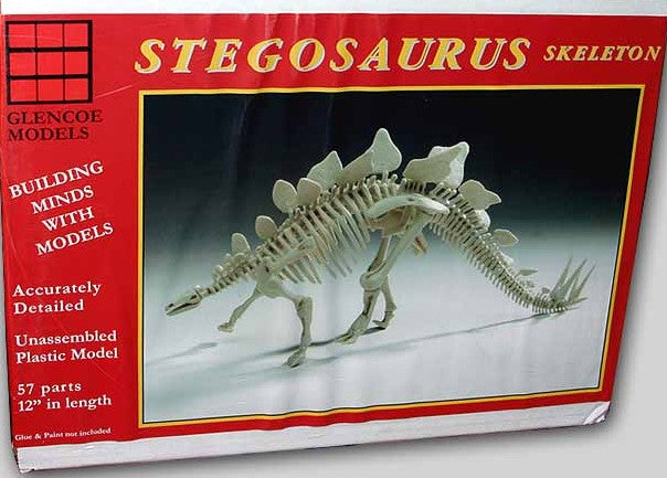 Glencoe Models 7907 1/25 Stegosaurus Skeleton