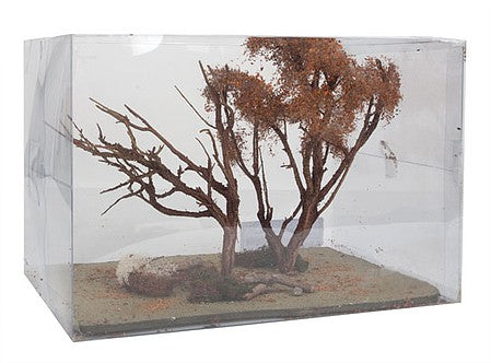 Grand Central Gems DOT1 All Scale Dead Oak Trees -- 2 Trees 6 - 8" 15.2 - 20.3cm Tall