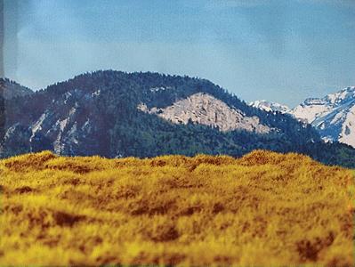 Grand Central Gems GM3 All Scale Grass Mat -- California Gold 12 x12"