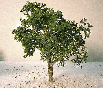 Grand Central Gems T24 All Scale Grapefruit Tree -- 3 to 5" 7.6 to 12.7cm pkg(2)