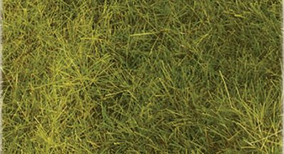 Heki Mini Forest 1575 All Scale Wild Grass Pad - 11 x 5-1/2" 27.4 x 14cm -- Meadow Green