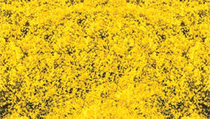 Heki Mini Forest 1589 All Scale Decograss(R) Pad 11 x 5-1/2" 28 x 14cm -- Goldenrod