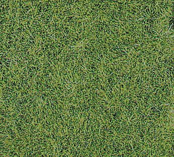 Heki Mini Forest 1870 All Scale Wild Grass Mat -- Meadow Green 15-3/4 x 9-7/16" 40 x 24cm pkg(2)