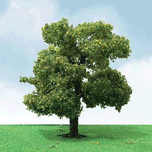 JTT 92210 N Scale Sycamore Trees - Pro Elite -- 2 - 2-1/4" 5.1 - 5.7cm pkg(3)