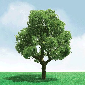 JTT 92401 O Scale Deciduous Trees - Pro Elite -- 5-1/2" 14cm