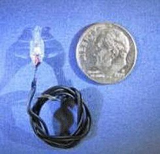 Labelle Industries 6411 All Scale Pepper Bulbs -- Claer 3V