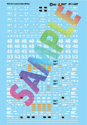 Microscale 601487 N Scale Railroad Decal Set -- Common Intermodal Well Car Data (white)