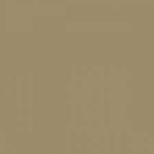 Mission Models 16 All Scale Water-Based Acrylic Paint 1oz 29.6ml -- MMP-016 Sandgrau Sand-Gray RAL 7027