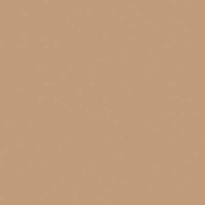 Mission Models 38 All Scale Water-Based Acrylic Paint 1oz 29.6ml -- MMP-038 US Desert Tan Modern 2 FS 33446