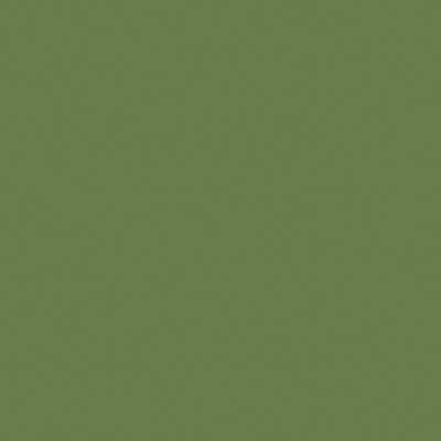 Mission Models 53 All Scale Water-Based Acrylic Paint 1oz 29.6ml -- MMP-053 Hellgrun Bright Green RLM 82