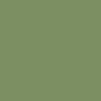 Mission Models 79 All Scale Water-Based Acrylic Paint 1oz 29.6ml -- MMP-079 RAF Interior Green