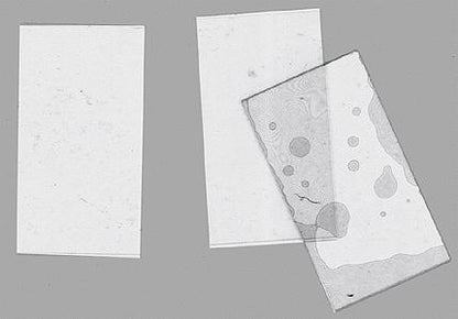 Ngineering N70044 All Scale .005" Thick Plate Glass -- .85 x 1.70" 2.16 x 4.32cm pkg(4)