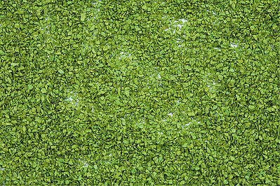 Noch 7152 All Scale Foliage -- Light Green - 3-1/2oz 100g Plastic Tub