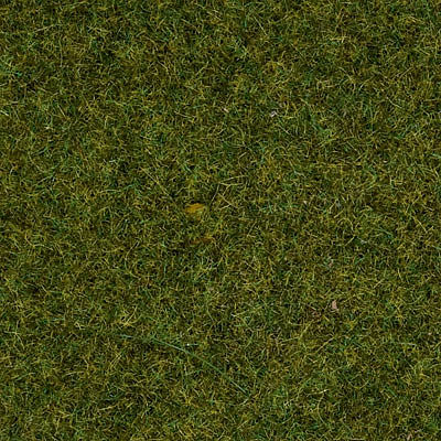 Noch 8152 All Scale Scatter Grass in 4-1/4oz 120g Plastic Tub -- Grass Meadow 1/8" .25cm Fibers - Covers About 1 Square Yard/Meter