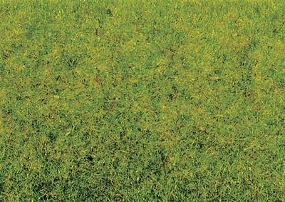 Noch 8300 HO Scale Static Grass - .7oz 20g -- Spring Green