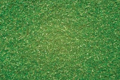 Noch 8411 All Scale Scatter Material - 6-13/16oz 165g -- Alpine Meadow (Light Green)