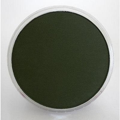 Panpastel 26601 All Scale Panpastel Color Powder -- Chromium Oxide Green Extra Dark