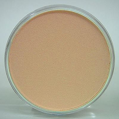 Panpastel 27408 All Scale Panpastel Color Powder -- Burnt Sienna Tint