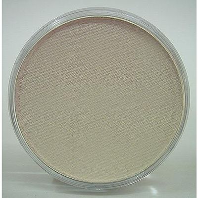 Panpastel 27808 All Scale Panpastel Color Powder -- Raw Umber Tint