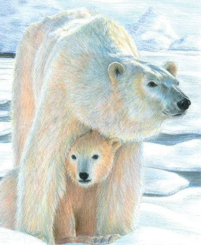 Royal & Langnickel 37365 Polar Love (Bear w/Cub) Pencil by Number Age 8+ (8.75"x11.75")