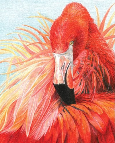 Royal & Langnickel 37366 Flamingo Pencil by Number Age 8+ (8.75"x11.75")